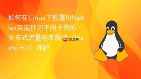 如何在Linux下配置Nftables实现针对不同子网的分布式流量哈希限速（Hashlimit）保护