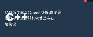 如何通过修改OpenSSH配置彻底剔除不安全的弱加密算法与认证协议