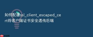 如何配置ssl_client_escaped_cert将客户端证书安全透传后端