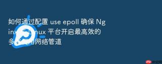 如何通过配置 use epoll 确保 nginx 在 linux 平台开启最高效的多路复用网络管道