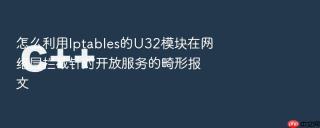怎么利用iptables的u32模块在网络层拦截针对开放服务的畸形报文