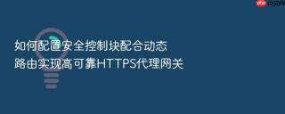 如何配置安全控制块配合动态路由实现高可靠https代理网关