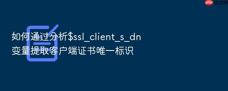 如何通过分析$ssl_client_s_dn变量提取客户端证书唯一标识