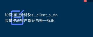 如何通过分析$ssl_client_s_dn变量提取客户端证书唯一标识