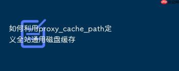 如何利用proxy_cache_path定义全站通用磁盘缓存