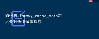 如何利用proxy_cache_path定义全站通用磁盘缓存