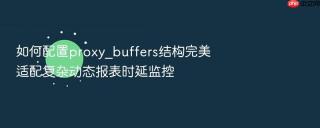 如何配置proxy_buffers结构完美适配复杂动态报表时延监控