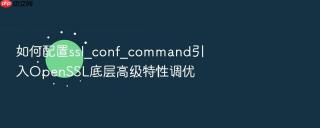 如何配置ssl_conf_command引入openssl底层高级特性调优