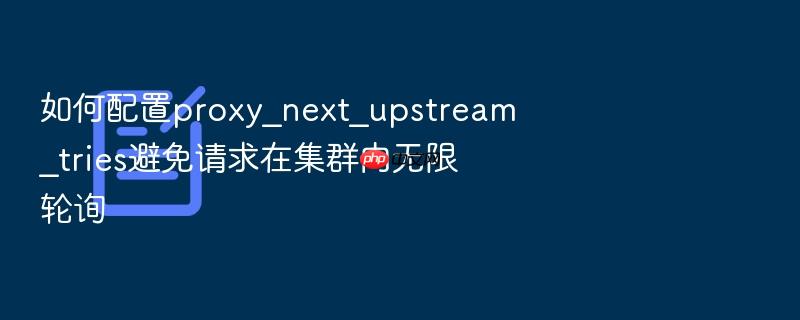 如何配置proxy_next_upstream_tries避免请求在集群内无限轮询