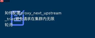 如何配置proxy_next_upstream_tries避免请求在集群内无限轮询