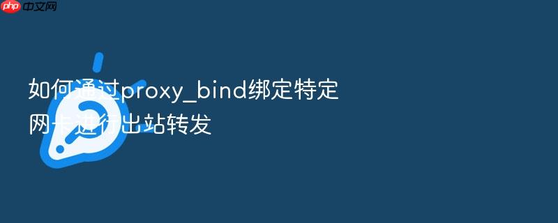 如何通过proxy_bind绑定特定网卡进行出站转发