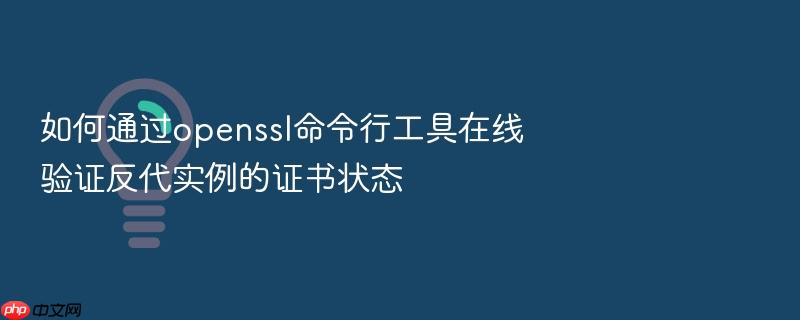 如何通过openssl命令行工具在线验证反代实例的证书状态