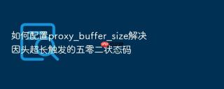 如何配置proxy_buffer_size解决因头超长触发的五零二状态码
