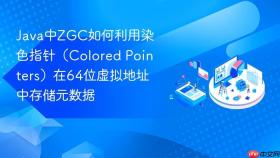Java中ZGC如何利用染色指针（Colored Pointers）在64位虚拟地址中存储元数据