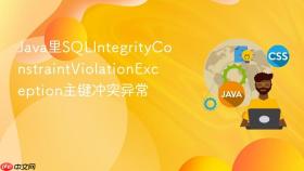 java里sqlintegrityconstraintviolationexception主键冲突异常