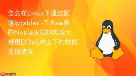怎么在Linux下通过配置Iptables -T Raw表的Notrack规则实现大规模DDoS冲击下的性能无损清洗