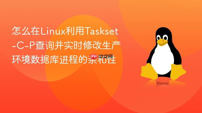 怎么在linux利用taskset-c-p查询并实时修改生产环境数据库进程的亲和性