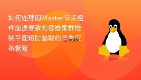 如何处理因Master节点组件崩溃导致的容器集群控制平面短时脑裂的紧急灾备恢复