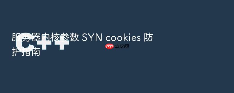 服务器内核参数 syn cookies 防护指南