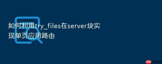 如何利用try_files在server块实现单页应用路由
