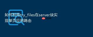 如何利用try_files在server块实现单页应用路由