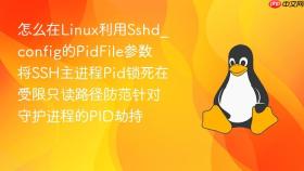 怎么在linux利用sshd_config的pidfile参数将ssh主进程pid锁死在受限只读路径防范针对守护进程的pid劫持