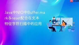 Java中NIO中Buffer.mark与reset配合在文本特征字符扫描中的应用