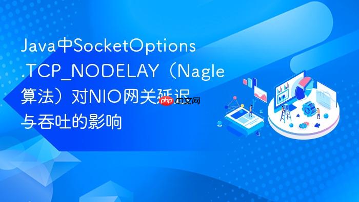 java中socketoptions.tcp_nodelay(nagle算法)对nio网关延迟与吞吐的影响