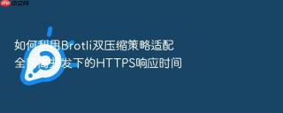 如何利用Brotli双压缩策略适配全网高并发下的HTTPS响应时间