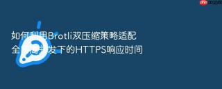 如何利用brotli双压缩策略适配全网高并发下的https响应时间