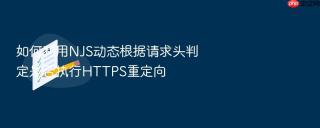 如何利用njs动态根据请求头判定是否执行https重定向