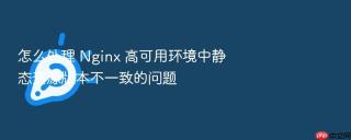 怎么处理 nginx 高可用环境中静态资源版本不一致的问题