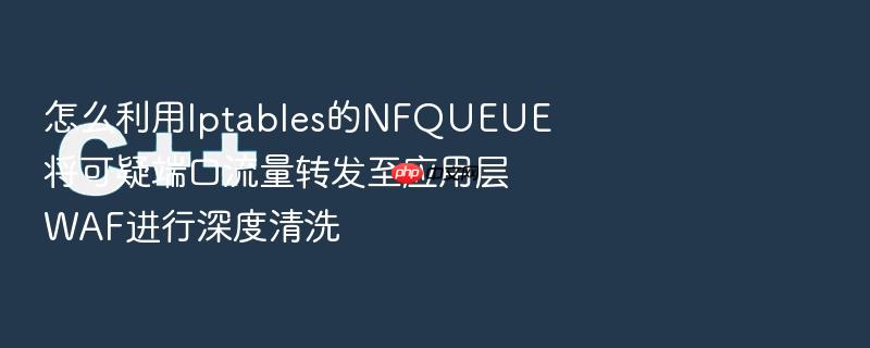 怎么利用iptables的nfqueue将可疑端口流量转发至应用层waf进行深度清洗
