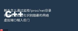 新手怎么通过监控/proc/net目录的哈希指纹变化识别隐蔽的网络虚拟端口植入后门