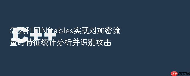 怎么利用nftables实现对加密流量的特征统计分析并识别攻击