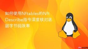 如何使用nftables的nft describe指令深度核对底层字节码效率