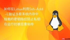 如何在Linux利用Ssh-Add -L验证当前系统内存中挂载的密钥指纹防止私钥在运行时被恶意劫持