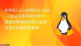 如何在linux利用ssh-add -l验证当前系统内存中挂载的密钥指纹防止私钥在运行时被恶意劫持