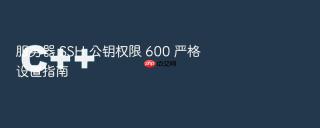 服务器 SSH 公钥权限 600 严格设置指南