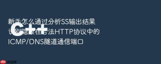 新手怎么通过分析SS输出结果识别隐蔽在合法HTTP协议中的ICMP/DNS隧道通信端口