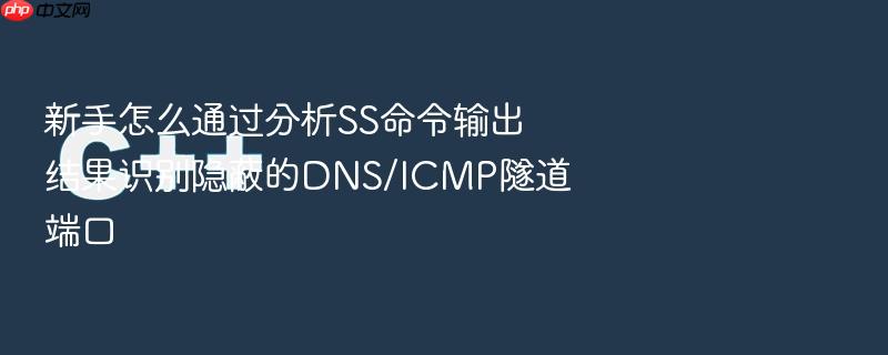 新手怎么通过分析ss命令输出结果识别隐蔽的dns/icmp隧道端口