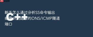新手怎么通过分析ss命令输出结果识别隐蔽的dns/icmp隧道端口
