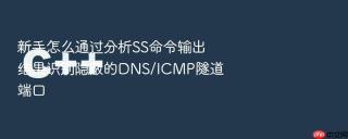 新手怎么通过分析SS命令输出结果识别隐蔽的DNS/ICMP隧道端口