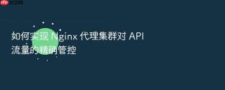 如何实现 nginx 代理集群对 api 流量的精确管控