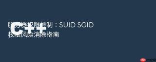 服务器权限控制：SUID SGID 权限风险消除指南
