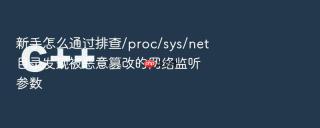 新手怎么通过排查/proc/sys/net目录发现被恶意篡改的网络监听参数