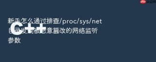 新手怎么通过排查/proc/sys/net目录发现被恶意篡改的网络监听参数