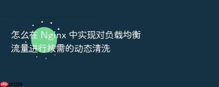 怎么在 Nginx 中实现对负载均衡流量进行按需的动态清洗