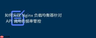 如何实现 nginx 负载均衡器针对 api 调用的频率管控