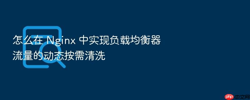怎么在 nginx 中实现负载均衡器流量的动态按需清洗